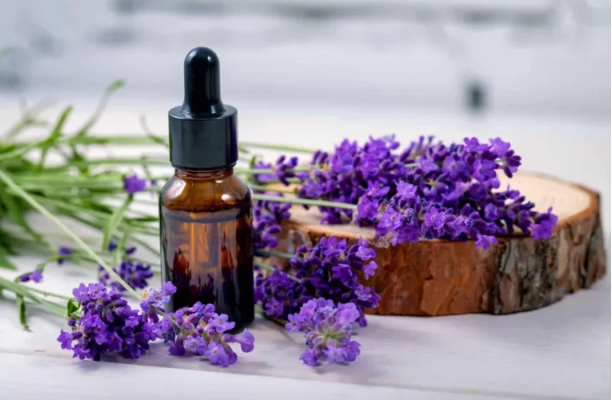 Natural Lavender Oil