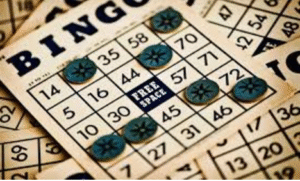 Bingo's path